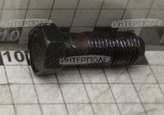 Болт М14х 36х1,5 крепления маховика Д-240/Д-243, ОАО "ММЗ"