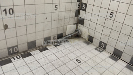 Болт М 6х 35х1,0 шестигранная головка, класс 5.8