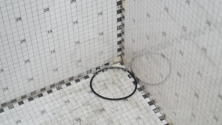 Кольцо уплотнительное ДТ-75