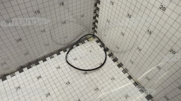 Прокладка водянного насоса (серия C L F) (Cummins)