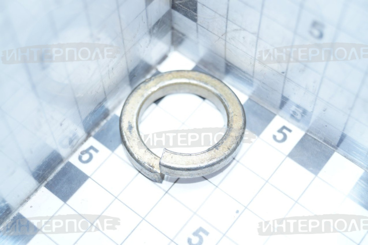 Шайба d=24 (гровер) 