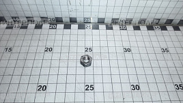 Гайка М 8х1,25 шестигранная, класс 6