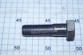 Болт М20х 70х2,5 шестигранная головка, класс 5.8