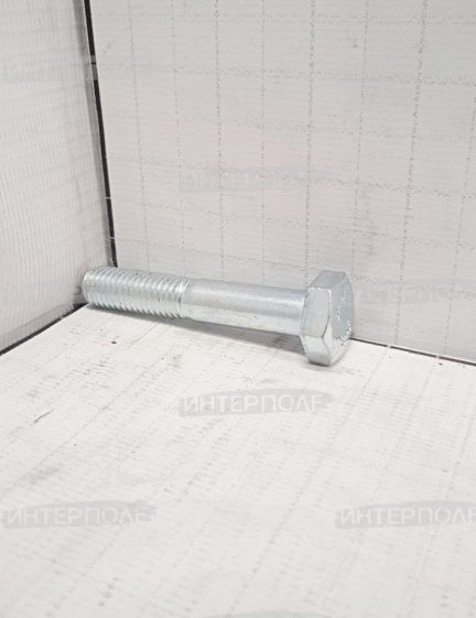 Болт М10х 55х1,25 шестигранная головка, класс 8.8 Шумахер
