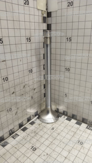 Клапан выпускной Д-245/260 (малый), ОАО"ММЗ"