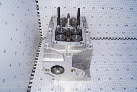 Головка блока цилиндров в сборе с клапанами (разд.)ТМЗ