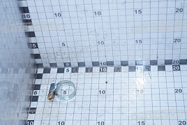 Хомут червячный зажимной ( 12-20/12-22мм)