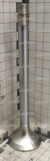Клапан выпускной Д-245/260 (малый), ОАО"ММЗ"