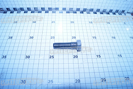 Болт М14х 50х2,0 шестигранная головка, класс 5.8