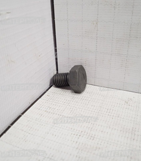 Болт М10х 16 шестигранная головка, класс 8.8 Claas 