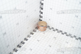 Втулка разжимного кулака (фторопластовое покрытие) КАМАЗ