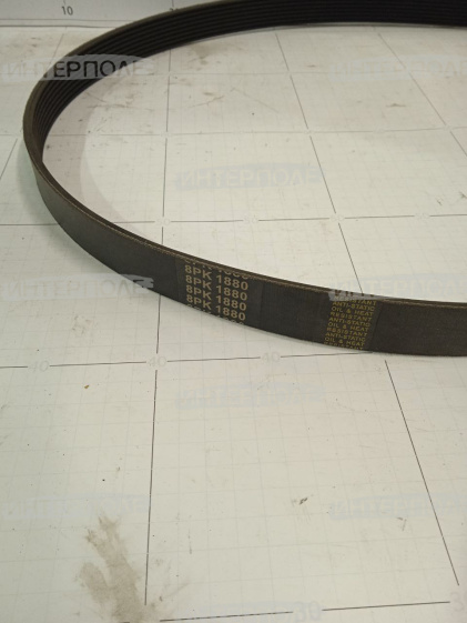 Ремень клиновой Claas (Tucano)