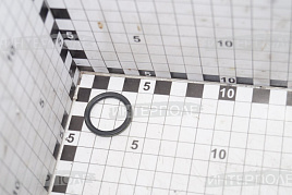 Кольцо уплотнительное заглушек(большое) ЯМЗ (ПАО Автодизель)