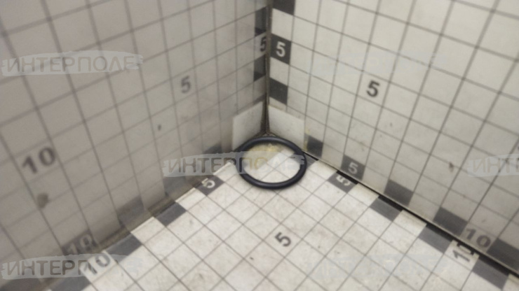 Кольцо вала ведущего К-700, К-701