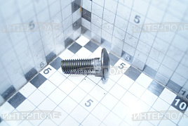 Болт М10х 30х1,5 круглая головка с квадратным подголовником, класс 5.8