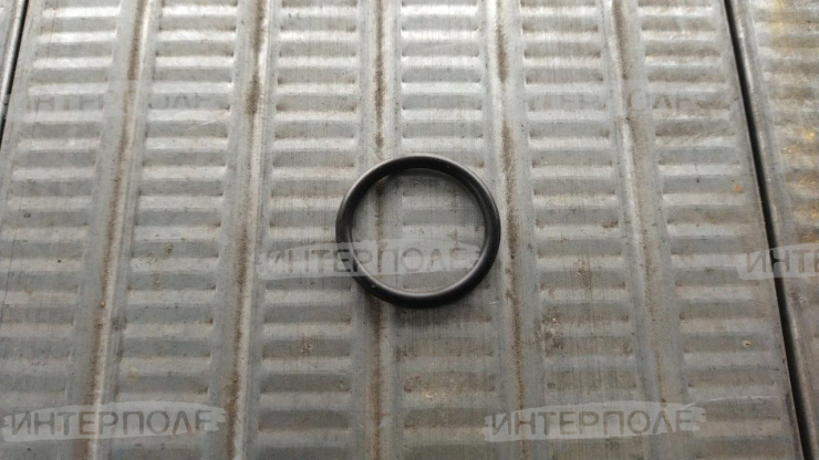 Кольцо уплотнительное