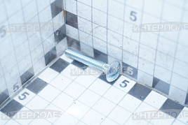 Болт 7/32" х 1-1/4" (5,5х28мм) круглая головка, класс 10.9, для сегмента, MacDon 