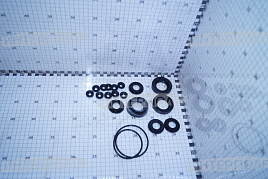 Ремкомплект гидронасоса НШ-100А К-700, К-701, ЭО-2621 