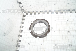 Гайка носка коленвала Д-260, ОАО"ММЗ"