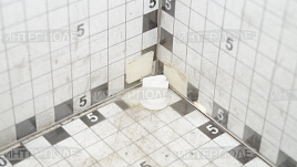 Распылитель (упаковка 50 шт) Geoline