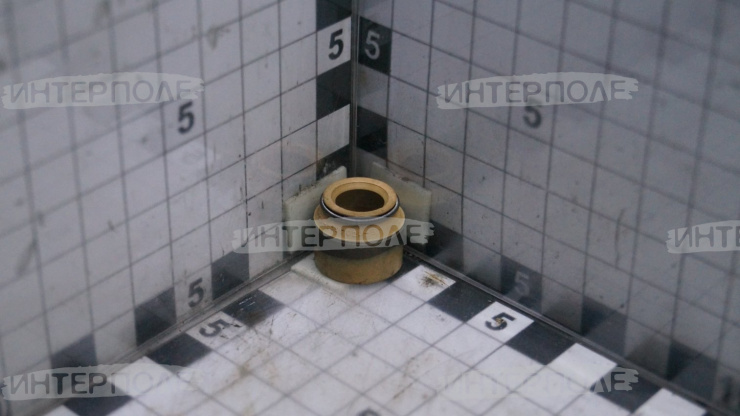 Колпачок маслосъемный Д-240/245 ЕВРО, ОАО"ММЗ"
