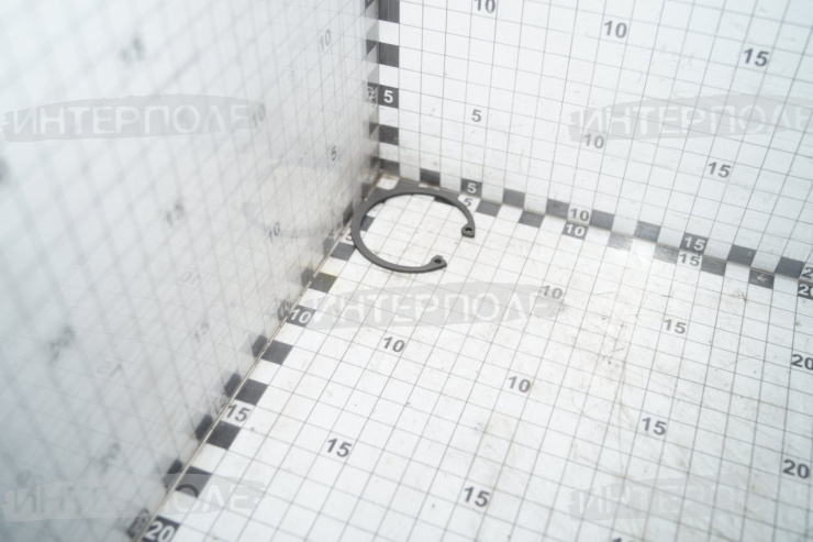 Кольцо стопорное крестовины вала карданного КАМАЗ-ЕВРО