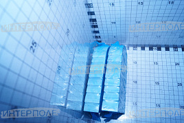 Вкладыши КАМАЗ шатунные Р1 (Димитровоград) 