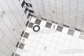 Кольцо уплотнительное заглушек(малое) ЯМЗ (ПАО Автодизель)