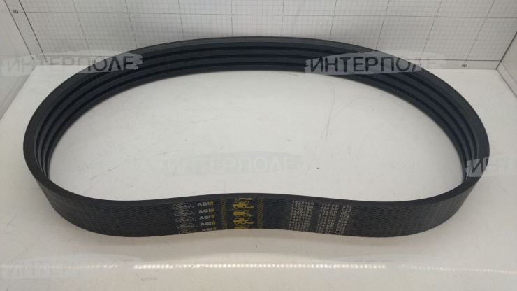 Ремень (1425186) Gates