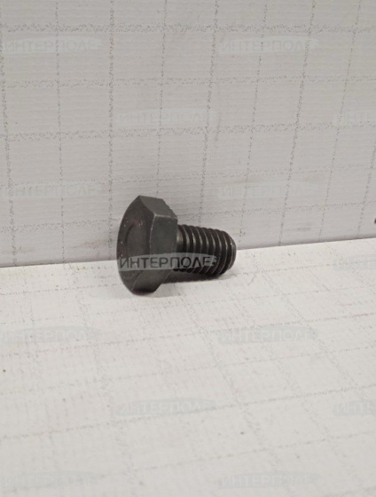 Болт М10х 16 шестигранная головка, класс 8.8 Claas 