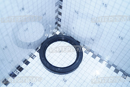 Манжета армированная "сальник" .75х100х10-2,2