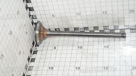 Клапан выпускной ТМЗ (ПАО Автодизель)