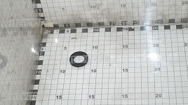 Шайба 18 (ПАО Автодизель)