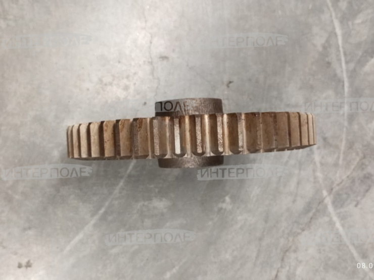 Шестерня КПП (z=48) Есиль-730,КЗС-7,КСК-600 Гомсельмаш