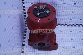 Насос водяной (помпа) Д-243 МТЗ