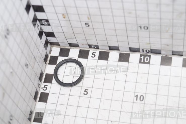 Кольцо уплотнительное заглушек(большое) ЯМЗ (ПАО Автодизель)