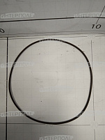 Кольцо уплотнительное насоса M100, M105, M150, M155 MacDon (Original)