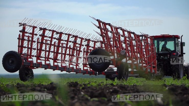 Борона средняя пружинная БСП-18