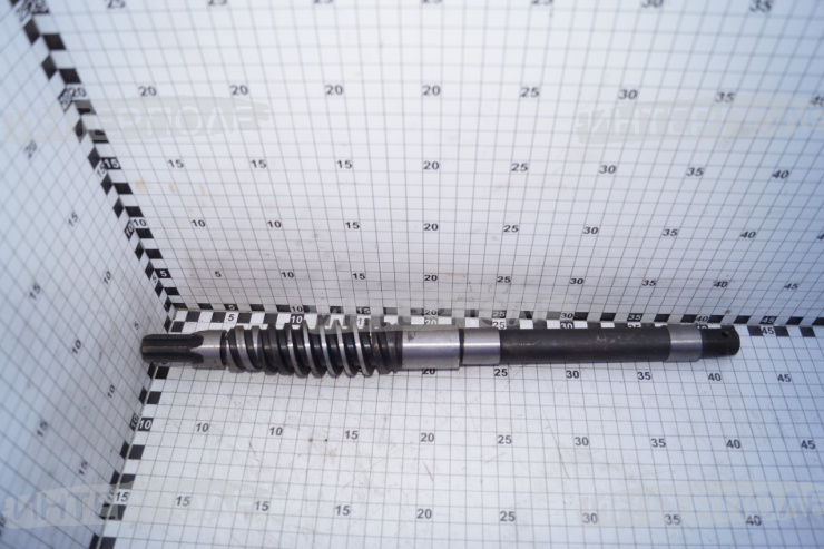 Червяк гура