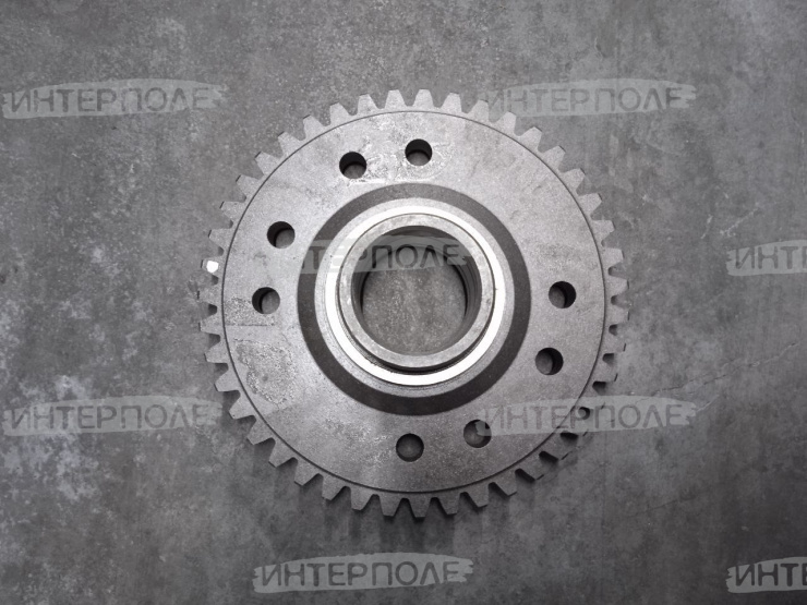 Шестерня КПП (z=43) дифференциала малая Есиль-760,КЗС-1218,Есиль-750,КЗС-10К Гомсельмаш