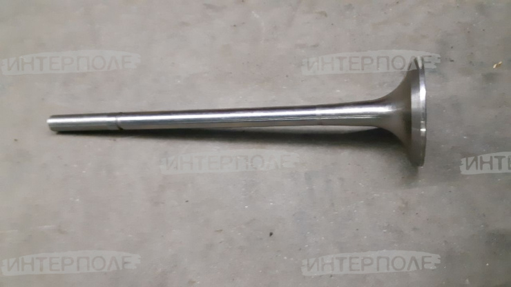 Клапан впускной ТМЗ (ПАО Автодизель)