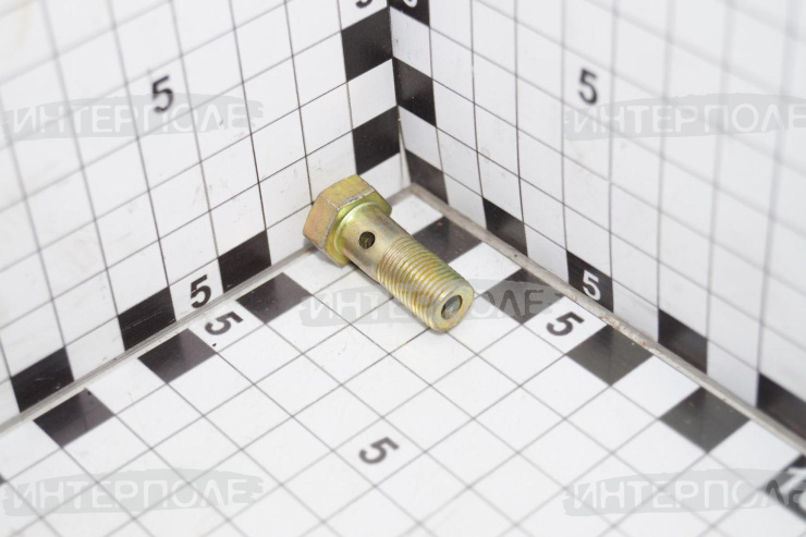 Болт (штуцер) М10х1,0х22 топливной обратки (1 отв.) 