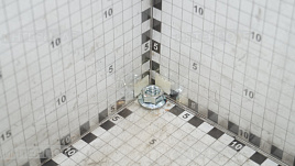 Гайка М12 крепления привода, класс 10,9, Honey Bee, Шумахер