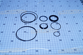 Ремкомплект гидромотора EPMS 125C (15720)