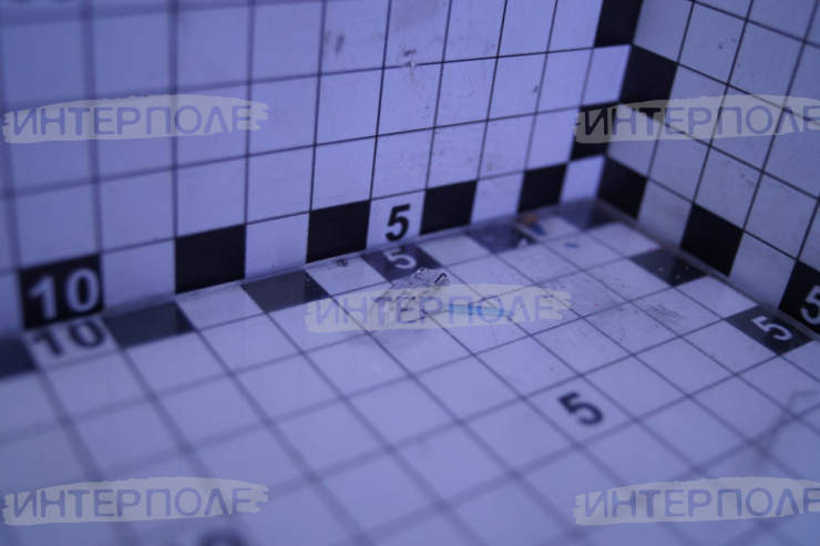 Автолампа 12В безцокольная