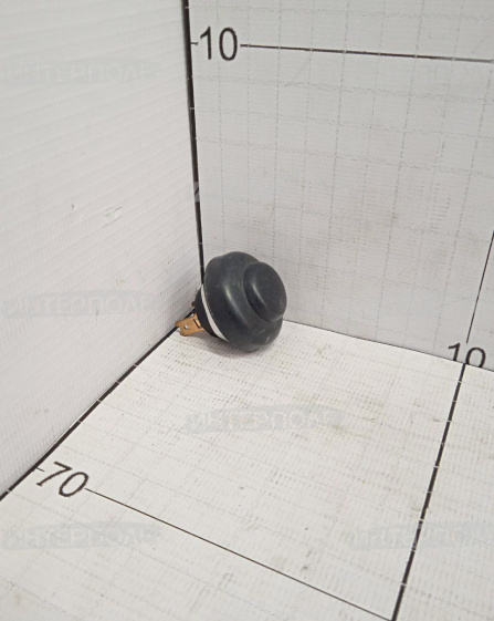 Кнопка нажимная (MEGA,TUCANO,MEDION,DOMINATOR,ROLLANT) Claas