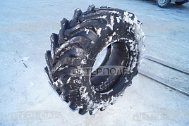 Шина 16,0 -20 Ф-64GL-1 /127A6/ 8НС (с камерой ) Белшина