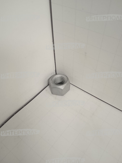 Гайка М12 шестигранная самостопорящаяся, класс 10 EDX, Condor, Catros (Amazone)