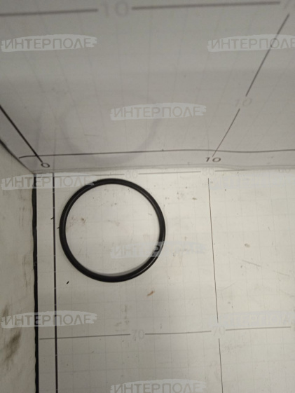 Кольцо уплотнительное Claas (Jaguar, Lexion)