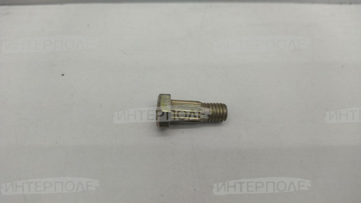 Винт (L=17мм) жатка ЖВЗ-10,7 Гомсельмаш